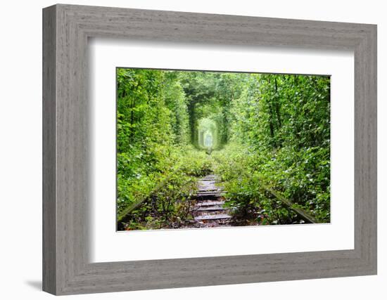 Tunnel of Love-tverkhovinets-Framed Photographic Print