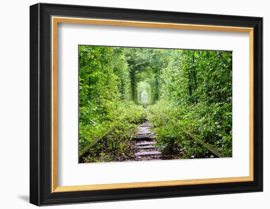 Tunnel of Love-tverkhovinets-Framed Photographic Print