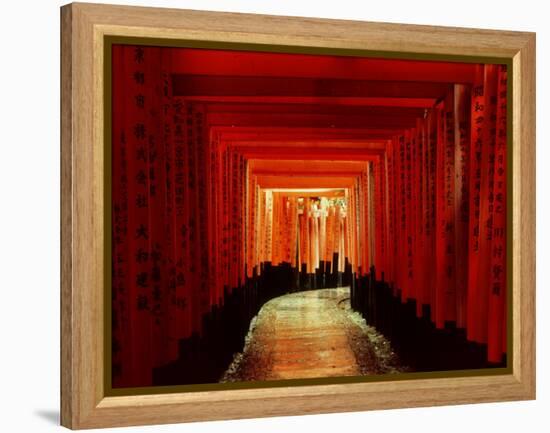 Tunnel of Torii-Arches, Fushimi Inari Shrine, Kyoto, Japan-null-Framed Premier Image Canvas