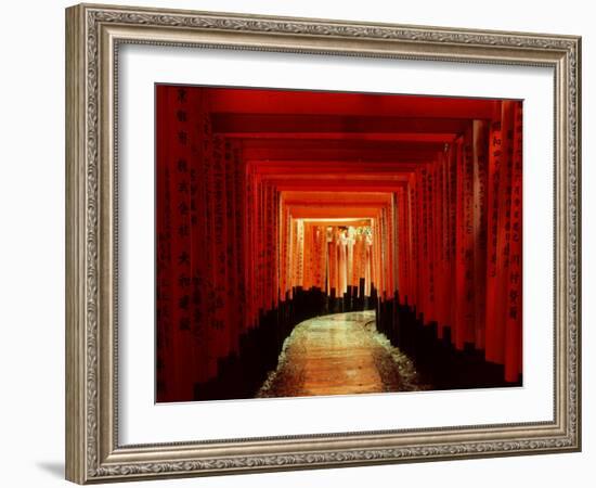 Tunnel of Torii-Arches, Fushimi Inari Shrine, Kyoto, Japan-null-Framed Photographic Print