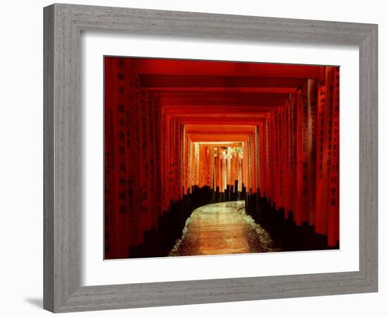 Tunnel of Torii-Arches, Fushimi Inari Shrine, Kyoto, Japan-null-Framed Photographic Print