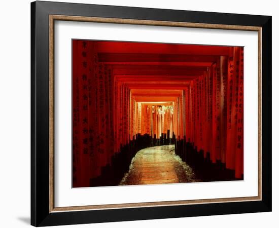 Tunnel of Torii-Arches, Fushimi Inari Shrine, Kyoto, Japan-null-Framed Photographic Print