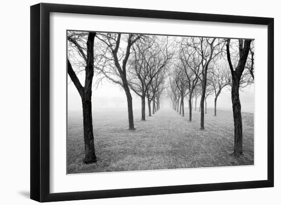 Tunnel of Trees-Monte Nagler-Framed Giclee Print