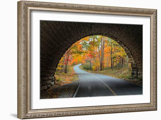 Tunnel Through Autumn, Bar Harbor, Maine, Acadia National Park-Vincent James-Framed Photographic Print