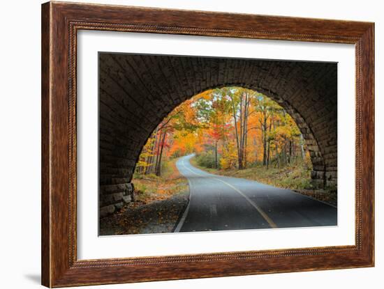 Tunnel Through Autumn, Bar Harbor, Maine, Acadia National Park-Vincent James-Framed Photographic Print