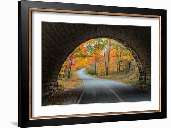 Tunnel Through Autumn, Bar Harbor, Maine, Acadia National Park-Vincent James-Framed Photographic Print