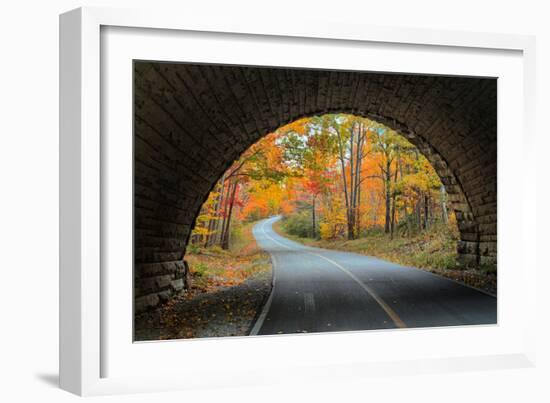 Tunnel Through Autumn, Bar Harbor, Maine, Acadia National Park-Vincent James-Framed Photographic Print