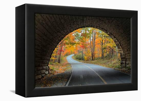 Tunnel Through Autumn, Bar Harbor, Maine, Acadia National Park-Vincent James-Framed Premier Image Canvas