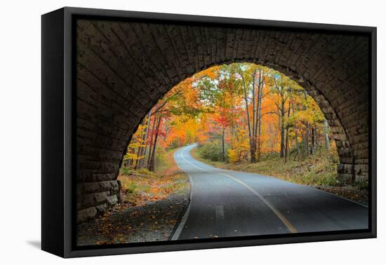 Tunnel Through Autumn, Bar Harbor, Maine, Acadia National Park-Vincent James-Framed Premier Image Canvas