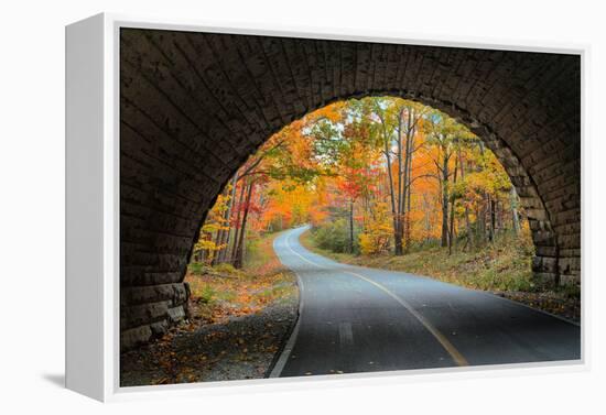 Tunnel Through Autumn, Bar Harbor, Maine, Acadia National Park-Vincent James-Framed Premier Image Canvas