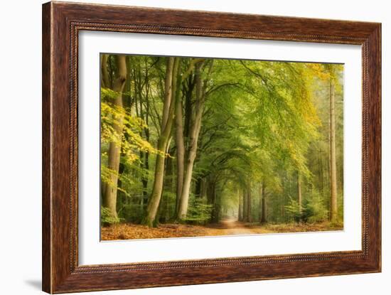 Tunnel Vision-Ellen Borggreve-Framed Giclee Print