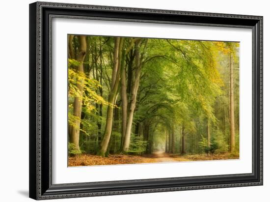 Tunnel Vision-Ellen Borggreve-Framed Giclee Print