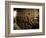 Tunnels at the Temple of Dendera, Egypt-Clive Nolan-Framed Photographic Print