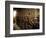 Tunnels at the Temple of Dendera, Egypt-Clive Nolan-Framed Photographic Print