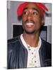 Tupac Shakur-null-Mounted Premium Photographic Print