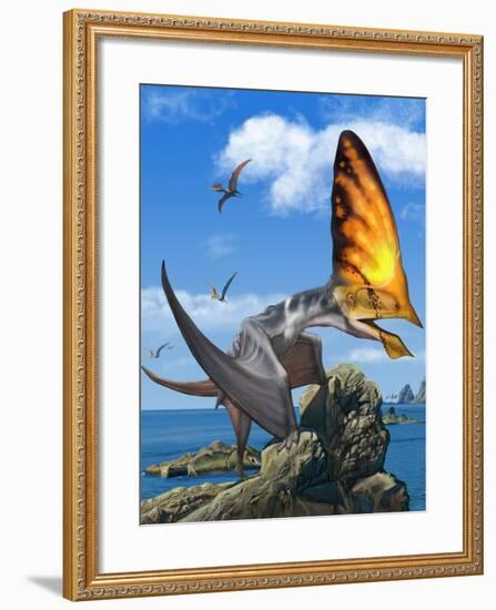 Tupandactylus Perched on a Rock During the Early Cretaceous Period-null-Framed Art Print