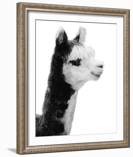 Tupiza-Bill Philip-Framed Giclee Print