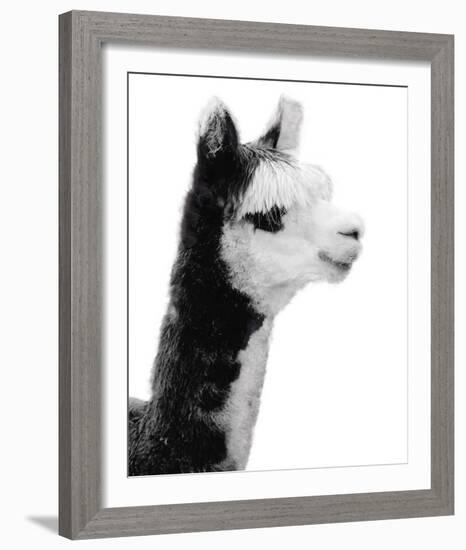 Tupiza-Bill Philip-Framed Giclee Print