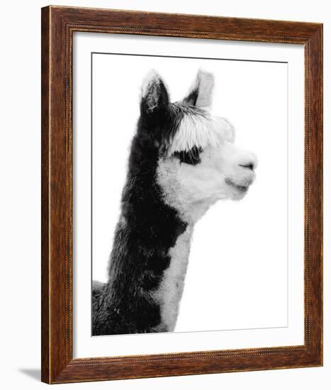 Tupiza-Bill Philip-Framed Giclee Print