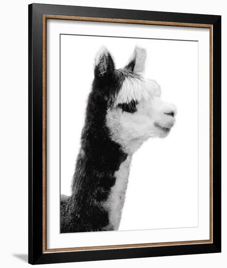 Tupiza-Bill Philip-Framed Giclee Print