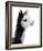 Tupiza-Bill Philip-Framed Giclee Print