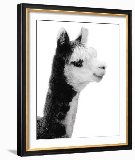 Tupiza-Bill Philip-Framed Giclee Print