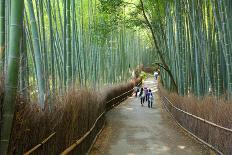 Kyoto, Japan - Green Bamboo Grove in Arashiyama-Tupungato-Photographic Print