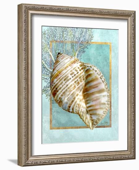 Turban Shell and Coral-Lori Schory-Framed Art Print