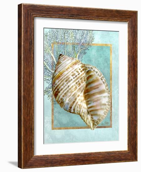 Turban Shell and Coral-Lori Schory-Framed Art Print