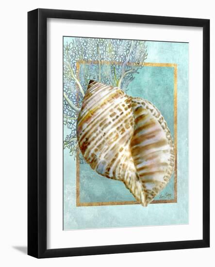 Turban Shell and Coral-Lori Schory-Framed Art Print