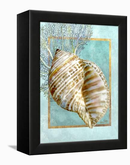 Turban Shell and Coral-Lori Schory-Framed Stretched Canvas