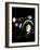 Turbocharger-Mark Sykes-Framed Photographic Print