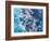 Turbulent Tasman Sea V-Eva Bane-Framed Art Print