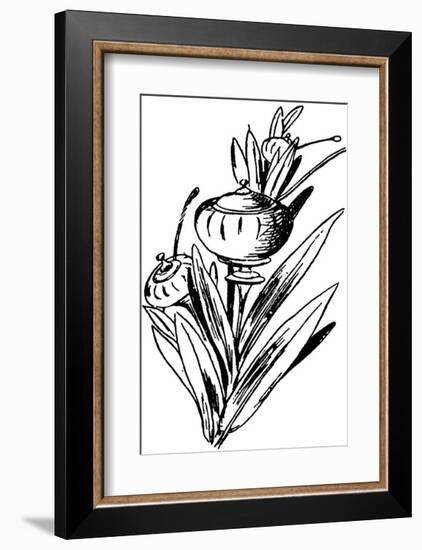 Tureenia Ladlecum-Edward Lear-Framed Premium Giclee Print