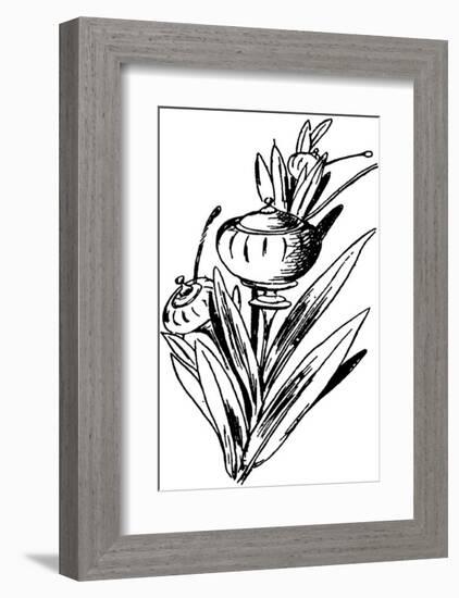 Tureenia Ladlecum-Edward Lear-Framed Premium Giclee Print