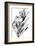 Tureenia Ladlecum-Edward Lear-Framed Premium Giclee Print