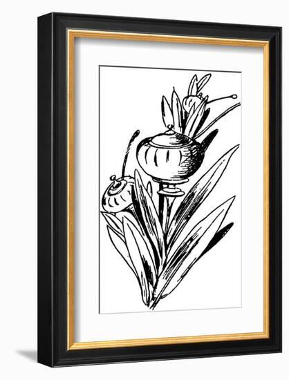 Tureenia Ladlecum-Edward Lear-Framed Premium Giclee Print