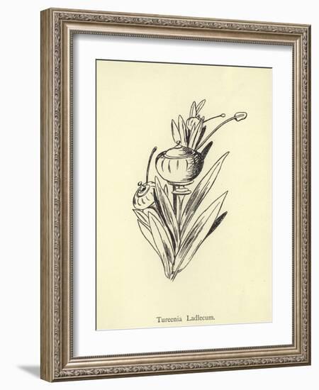 Tureenia Ladlecum-Edward Lear-Framed Giclee Print