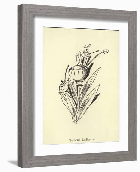 Tureenia Ladlecum-Edward Lear-Framed Giclee Print