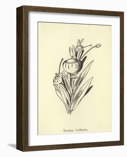 Tureenia Ladlecum-Edward Lear-Framed Giclee Print