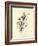 Tureenia Ladlecum-Edward Lear-Framed Giclee Print