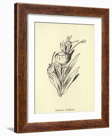 Tureenia Ladlecum-Edward Lear-Framed Giclee Print