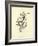 Tureenia Ladlecum-Edward Lear-Framed Giclee Print