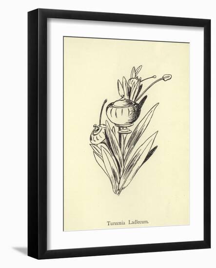 Tureenia Ladlecum-Edward Lear-Framed Giclee Print