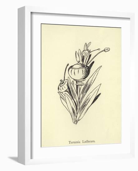 Tureenia Ladlecum-Edward Lear-Framed Giclee Print