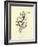 Tureenia Ladlecum-Edward Lear-Framed Giclee Print