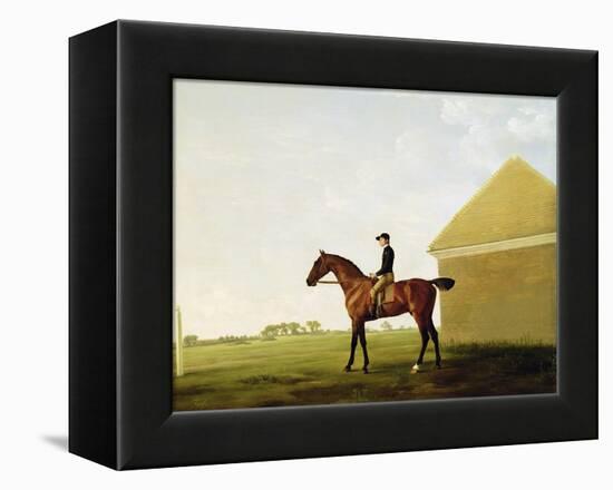 Turf, c.1765-George Stubbs-Framed Premier Image Canvas