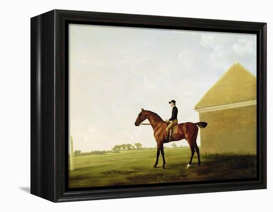 Turf, c.1765-George Stubbs-Framed Premier Image Canvas