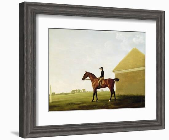 Turf, c.1765-George Stubbs-Framed Giclee Print