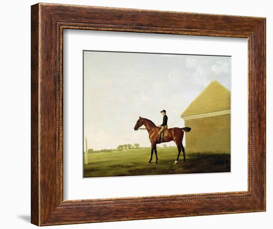 Turf, c.1765-George Stubbs-Framed Giclee Print